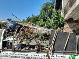 Best Residential Junk Removal  in Hainesvle, IL